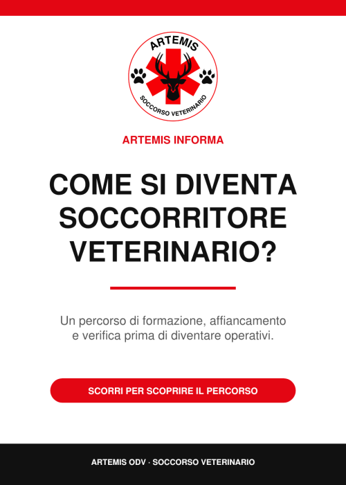 Artemis_soccorritore_01